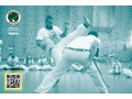 Détails : TOC Capoeira