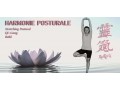 Détails : Harmonie Posturale - Stretching Postural® - Qi Gong