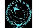 Détails : Cercle Aquatique de Terre Sainte Cats natation